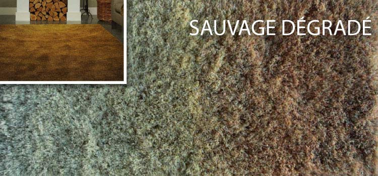 Carpet Sign Sauvage dégradé karpetten met kleurverloop